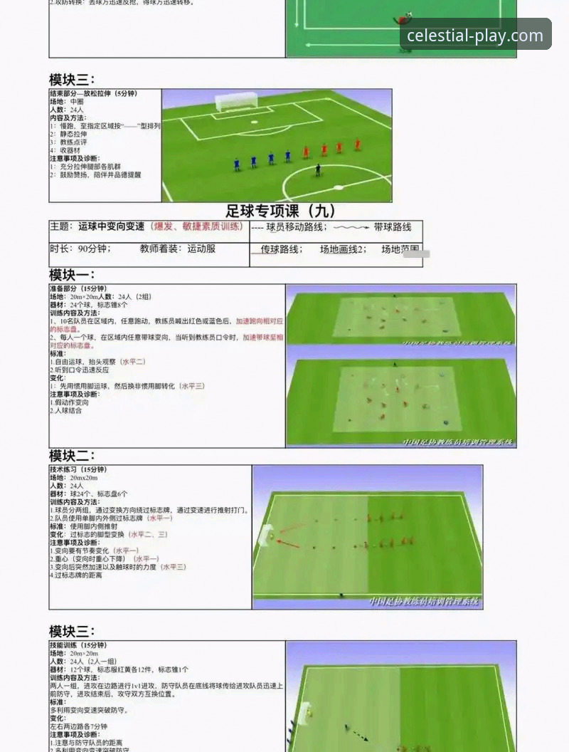 如何利用星空体育赛事分析，从观赛新手进阶为懂球帝？